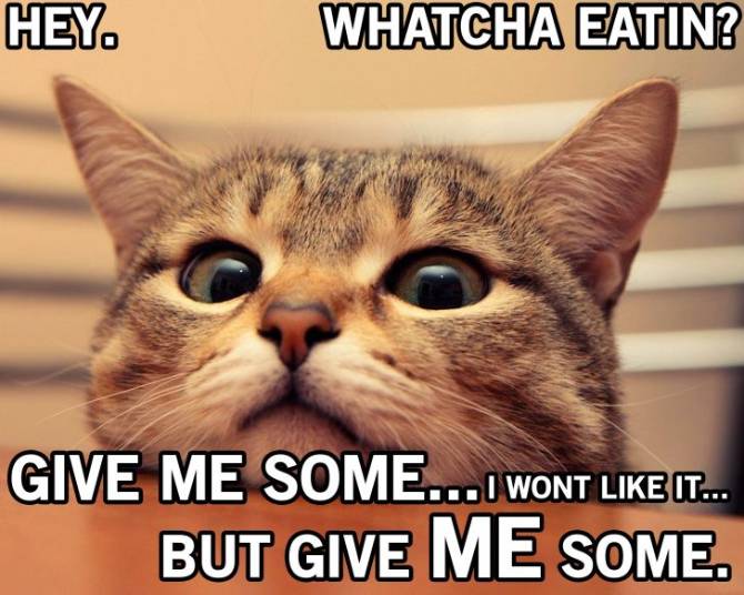 Whatcha Eating